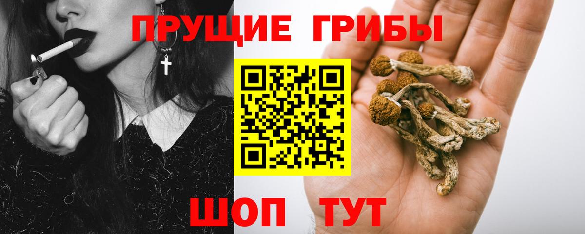 где можно купить   Галлюциногенные грибы ЛСД  Вход с VPN  Миллерово 